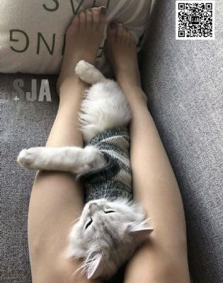 高h各种姿势强j粗暴男男_BD日韩电影在线